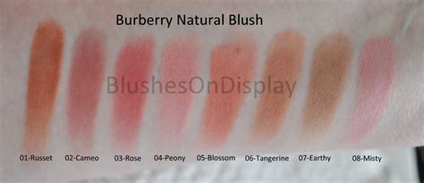 burberry cameo blush dupe|Burberry Cameo (02) Light Glow Natural Blush Dupes & Swatch .